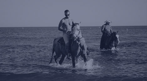 Horseback Riding on the Beach